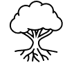 tree roots icon